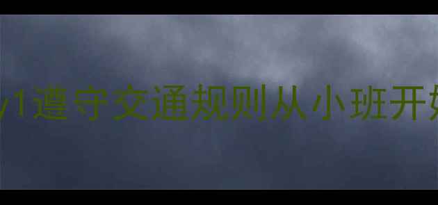 图片 中班教案：交通安全教育主题Day1遵守交通规则从小班开始，手把手教你设计趣味活动🚦2