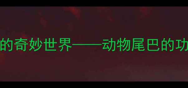 图片 中班科学活动tails的奇妙世界——动物尾巴的功能与趣味教案设计2