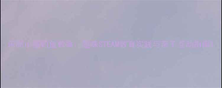 图片 乐高小猫钓鱼教案：趣味STEAM教育实践与亲子互动指南1