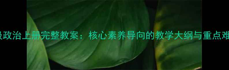 图片 人教版九年级政治上册完整教案：核心素养导向的教学大纲与重点难点（新版）1