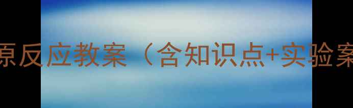 图片 初中化学氧化还原反应教案（含知识点+实验案例+课后习题）2