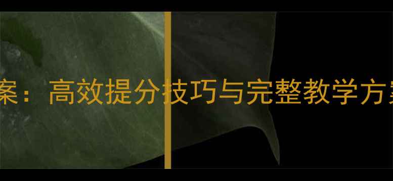 图片 初二英语一对一教案：高效提分技巧与完整教学方案（附电子资源）2