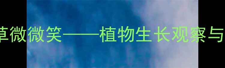 图片 小学科学课：让花草微微笑——植物生长观察与自然教育实践教案2