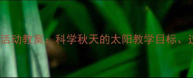 图片 幼儿园中班秋日主题活动教案：科学秋天的太阳教学目标、过程与延伸活动设计2