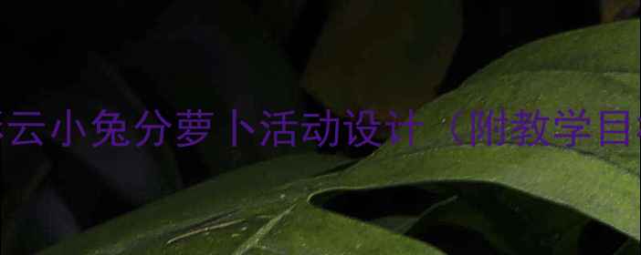 图片 幼儿园数学教案：应彩云小兔分萝卜活动设计（附教学目标、步骤及延伸活动）