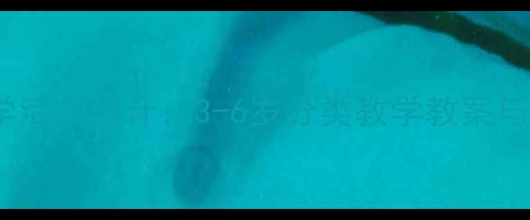 图片 幼儿园数学活动设计：3-6岁分类教学教案与实施策略1