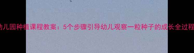 图片 幼儿园种植课程教案：5个步骤引导幼儿观察一粒种子的成长全过程2