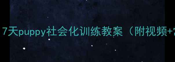 图片 新手必看！7天puppy社会化训练教案（附视频+常见问题）