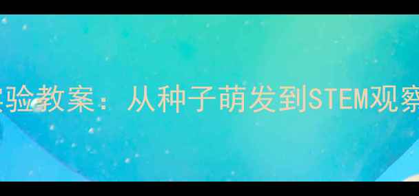 图片 适合小学科学课的绿豆发芽实验教案：从种子萌发到STEM观察记录表（附详细教学步骤）2