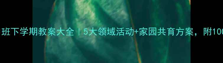 图片 🌟幼儿园中班下学期教案大全｜5大领域活动+家园共育方案，附100+实用资源