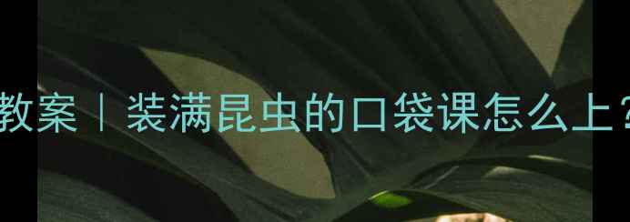 图片 🌟幼儿园自然教育爆款教案｜装满昆虫的口袋课怎么上？附120+页教学资源包2