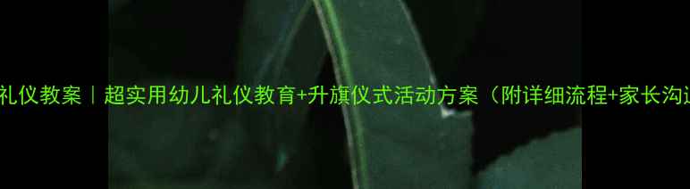 图片 🎉中班升旗礼仪教案｜超实用幼儿礼仪教育+升旗仪式活动方案（附详细流程+家长沟通指南）✨1