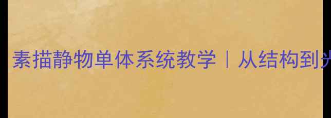 图片 🎨零基础必看！素描静物单体系统教学｜从结构到光影完整攻略✨