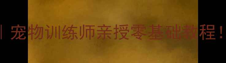 图片 🐾小狗Bingo训练教案｜宠物训练师亲授零基础教程！在家玩出高智商萌宠1