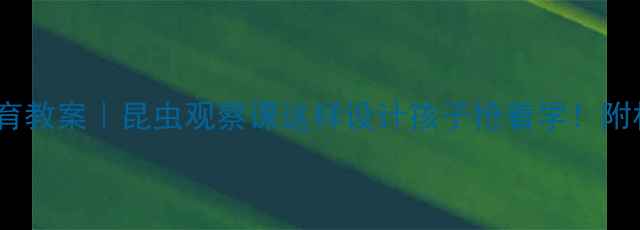 图片 🔥中班幼儿自然教育教案｜昆虫观察课这样设计孩子抢着学！附材料清单+教学视频