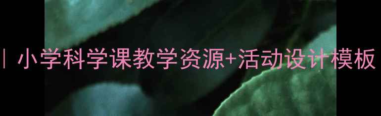 图片 🚲共享单车教案｜小学科学课教学资源+活动设计模板（附课件下载）1